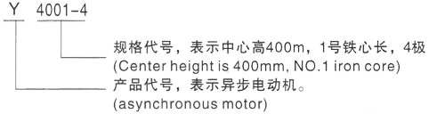 西安泰富西玛Y系列(H355-1000)高压YE2-132S-6三相异步电机型号说明