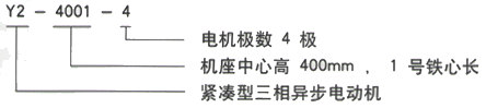 YR系列(H355-1000)高压YE2-132S-6三相异步电机西安西玛电机型号说明